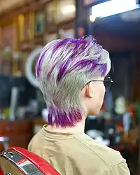 A photo of  Mullet 